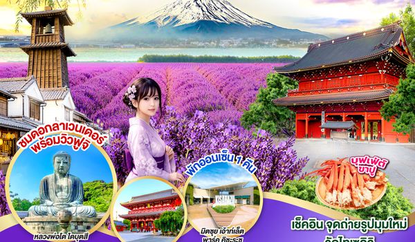 QQGO2HND-TG050 TOKYO FUJI LAVENDER RELAX 6D 3N  โดยสายการบินไทย [TG]