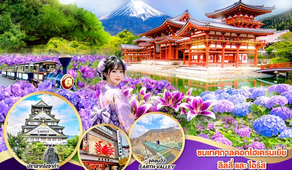 QQGO2NRT-TG099 TOKYO FUJI OSAKA FLOWER RELAX 6D 4N  โดยสายการบินไทย [TG]