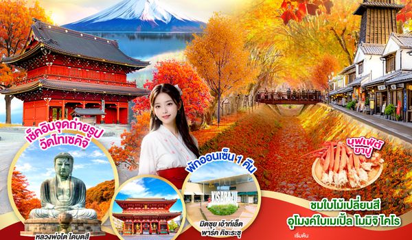 QQGO2HND-TG052 TOKYO FUJI MOMIJO KAIRO AUTUMN 6D 3N  โดยสายการบินไทย [TG]