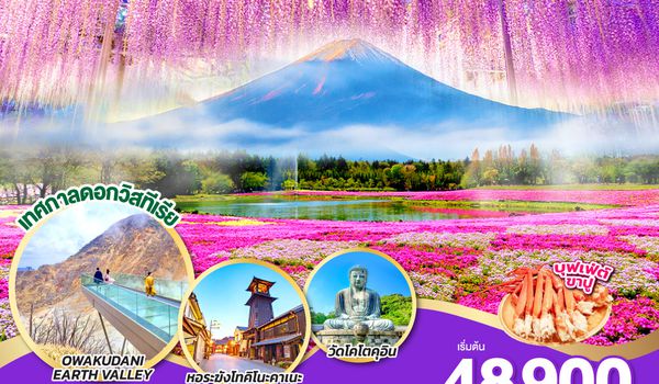 QQGO2HND-TG044 TOKYO FUJI PINKMOSS & WISTERIA 6D 3N  โดยสายการบินไทย [TG]
