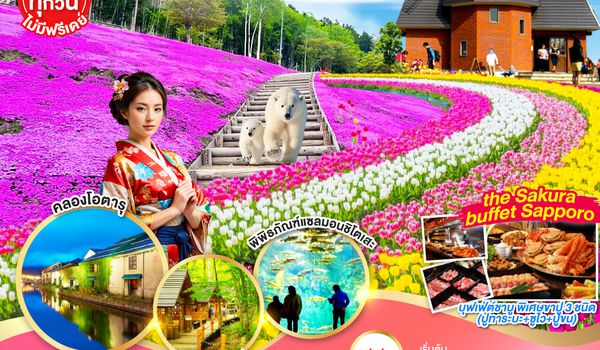 QQGO2CTS-VZ002 HOKKAIDO FURANO OTARU PINKMOSS 6D 4N โดยสายการบินไทยเวียตเจ็ทแอร์ [VZ]