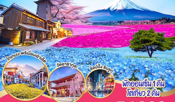 QQGO2NRT-TG094 TOKYO IBARAKI HITACHI NEMOPHILA & PINKMOSS FEST 6D 4N โดยสายการบินไทย [TG]