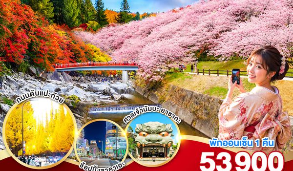 GO2HND-TG056 TOKYO OSAKA OBARA KORANKEI AUTUMN  6D 4N โดยสายการบินไทย [TG]