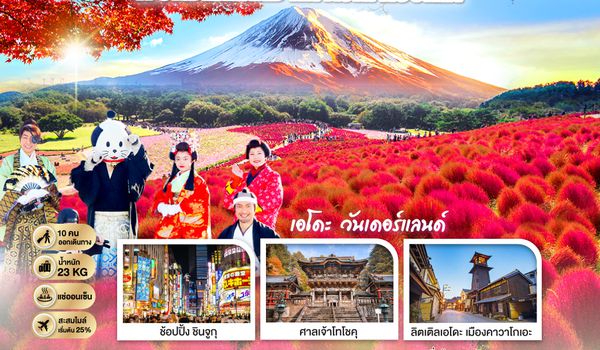 GO2NRT-TG078 NIKKO EDO WONDERLAND HITACHIKOCHIA  6D 4N โดยสายการบินไทย [TG]