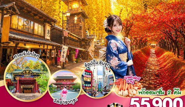 GO2NRT-TG100 TOKYO FUJI NIKKO MOMIJI AUTUMN 6D 4N  โดยสายการบินไทย [TG]