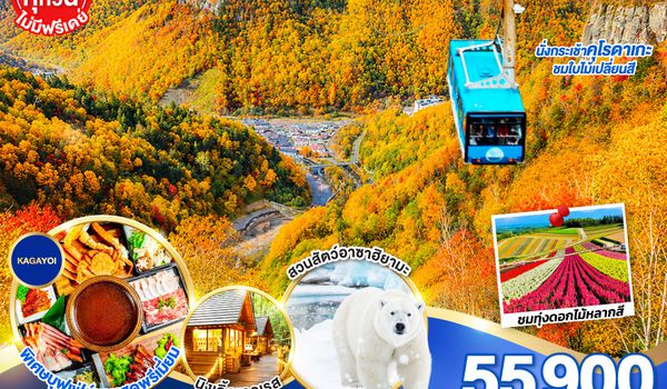 GO2CTS-TG072 HOKKAIDO SOUNKYO First Love AUTUMN 6D 4N โดยสายการบินไทย [TG]