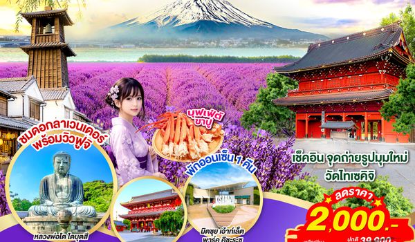 GO2HND-TG050 TOKYO FUJI LAVENDER RELAX 6D 3N  โดยสายการบินไทย [TG]