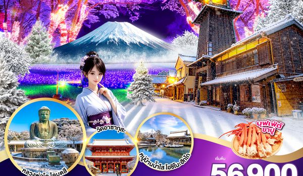 GO2NRT-TG102 TOKYO FUJI YOKOHAMA ILLUMINATION WINTER  6D 4N โดยสายการบินไทย [TG]