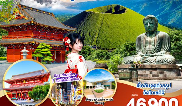 GO2HND-TG057 TOKYO FUJI YOKOHAMA KAMAKURA 6D 3N โดยสายการบินไทย [TG]