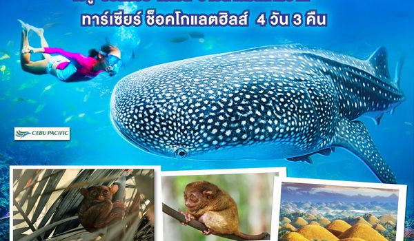QQGO1CEB-5J101 GO Philippines Mabuhay เซบู  ออสลอบ โบโฮล ว่ายน้ำกับฉลามวาฬ ชมทาร์เซียร์ ช็อคโกแลตฮิลส์  4วัน3คืน โดยสายการบิน Cebu Pacific (5J)