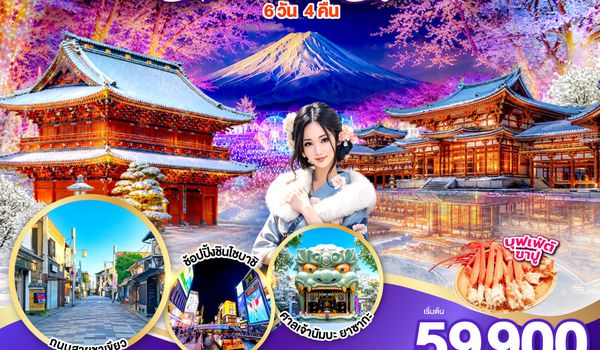 GO2HND-TG059 TOKYO OSAKA ILLUMINATION CHRISTMAS & NEW YEAR 6D 4N โดยสายการบินไทย [TG]