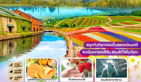 GO2CTS-TG082 HOKKAIDO OTARU FURANO FRUIT & FLOWER 6D 4N โดยสายการบินไทย [TG]