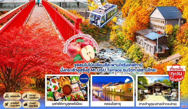 GO2CTS-TG075 HOKKAIDO PREMIUM HAKODATE JOZANKEI Private Onsen 6D 4N โดยสายการบินการบินไทย [TG]
