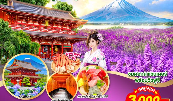GO2KIX-TG084 OSAKA KYOTO FUJI TOKYO COLORFUL 6D 4N โดยสายการบินไทย [TG]