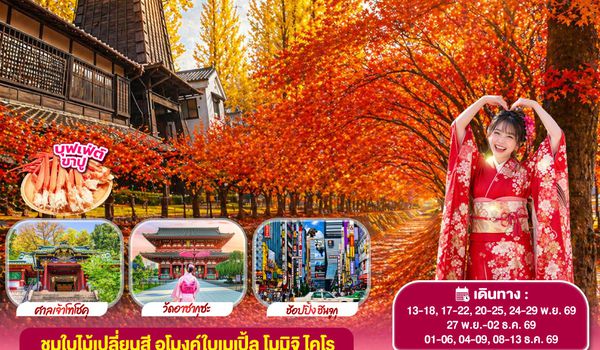GO2NRT-TG100 TOKYO FUJI NIKKO MOMIJI AUTUMN 6D 4N  โดยสายการบินไทย [TG]