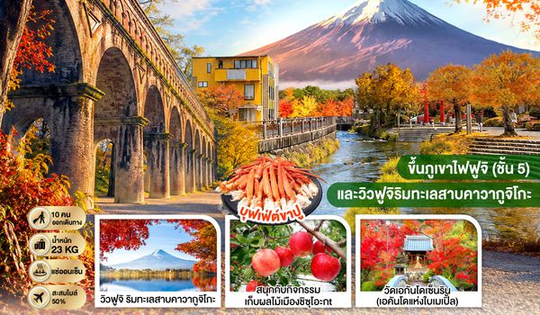 GO2KIX-TG088 OSAKA KYOTO FUJI TOKYO  AUTUMN FRUIT PARK  6D 4N โดยสายการบินไทย [TG]