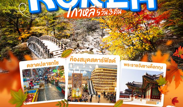 QQGO3ICN-TG005 เกาหลี (KOREA) SEOUL SO COOL 5 วัน 3 คืน โดยสายการบินไทย (TG)