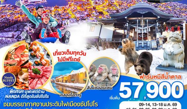 QQGO2CTS-TG050 HOKKAIDO HAKODATE SNOW WINTER  6D 4N โดยสายการบินไทย [TG]