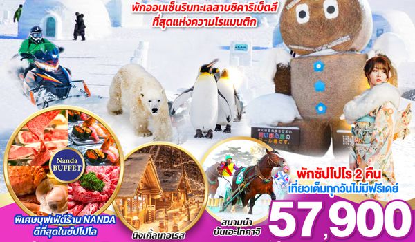QQGO2CTS-TG052 HOKKAIDO BIHIRO FURANO SNOW WINTER 6D 4N โดยสายการบินไทย [TG]