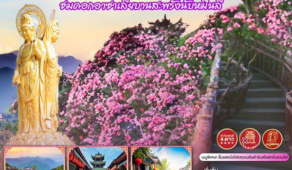 QQGO1TFU-TG032 เฉิงตู กวงอู้ซาน ชมดอกอาซาเลียบานสะพรั่งนับหมื่นลี้ 6วัน 5คืน *ไม่ลงร้านช้อป* โดยสายการบิน Thai Airways (TG)