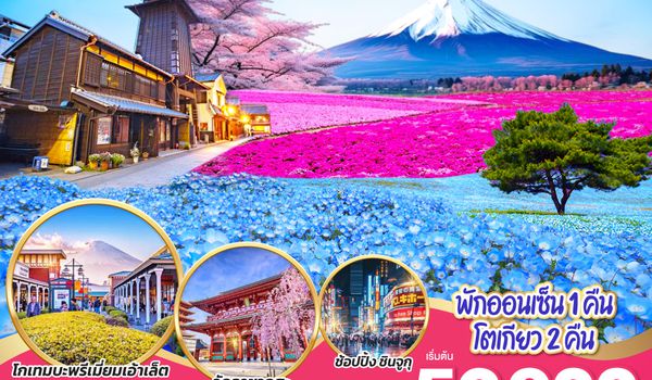 QQGO2NRT-TG094 TOKYO IBARAKI HITACHI NEMOPHILA & PINKMOSS FEST 6D 4N โดยสายการบินไทย [TG]