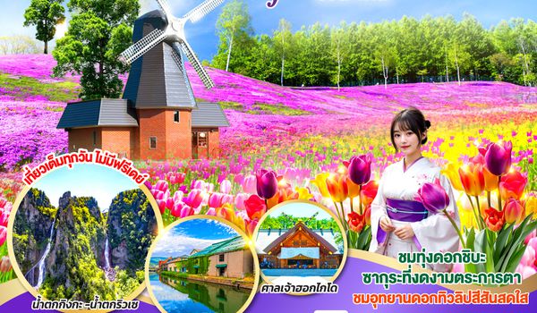 QQGO2CTS-TG066 HOKKAIDO OTARU SOUNKYO COLORFUL 6D 4N โดยสายการบินไทย [TG]