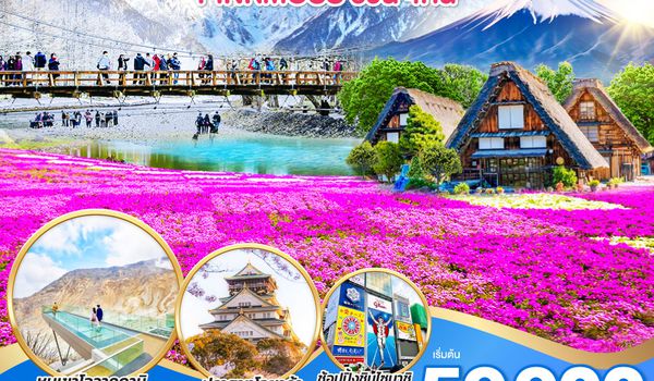 QQGO2HND-TG045 TOKYO OSAKA TAKAYAMA KAMIKOCHI PINKMOSS 6D 4N โดยสายการบินไทย [TG]