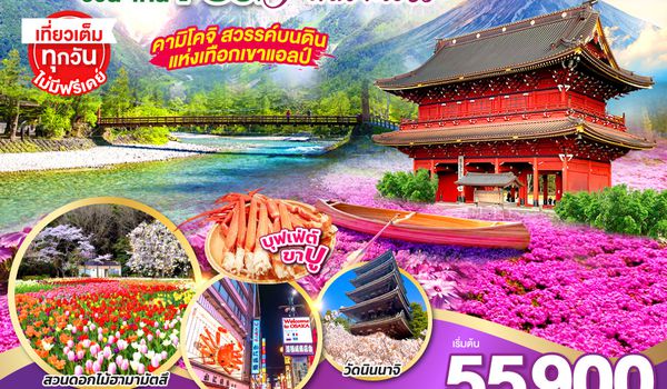 QQGO2NGO-TG079 TAKAYAMA KAMIKOCHI FLOWER FUJI PINKMOSS  6D 4N โดยสายการบินไทย [TG]