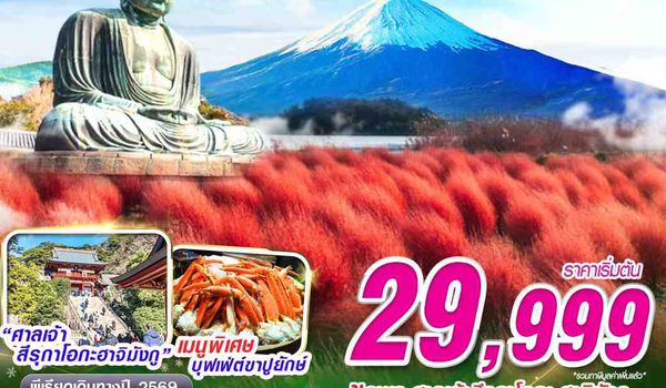 NRT02 XJ DMK TOKYO AUTUMN โคเชียใบไม้แดง (ฟรีเดย์)
