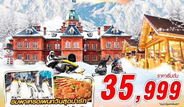 CTS06 XJ DMK HOKKAIDO WINTER หนาวได้ใจ (FREEDAY) DEC-MAR 5D3N