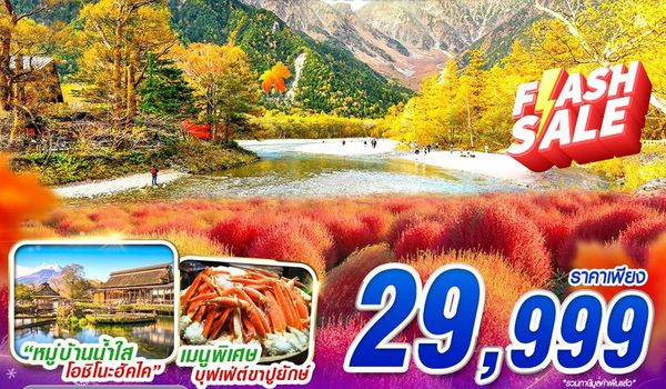 NRT01 XJ TOKYO AUTUMN KAMIKOJI (เที่ยวเต็ม)