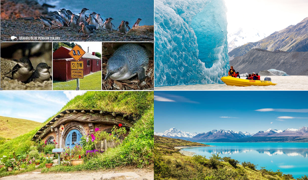 12 วัน เบสท์ ออฟ นิวซีแลนด์ เกาะเหนือ – ใต้ 