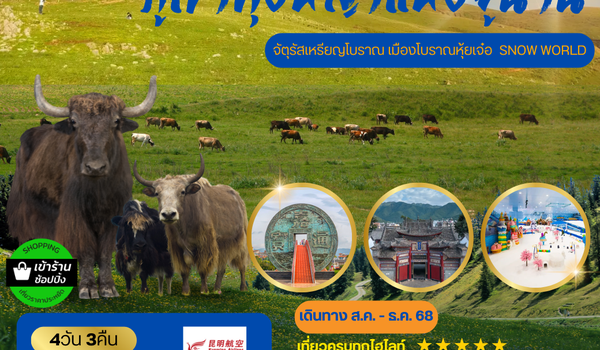 ภูเขาทุ่งหญ้าแห่งมณฑลยูนาน มหานครคุนหมิง จัตุรัสเหรียญโบราณ-เมืองโบราณหุ้ยเจ๋อ -SNOW WORLD 4 วัน 3 คืน (KY)