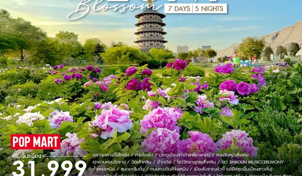 ทัวร์คุณธรรม Peony Blossom เจิ้งโจว ซีอาน 7 วัน 5 คืน (SL)