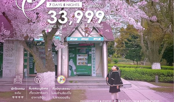 ทัวร์คุณธรรม Sakura Once A Year ชิงเต่า  เหยียนไถ เผิงไหล เว่ยไห่ 7 วัน 5 คืน (CZ) 