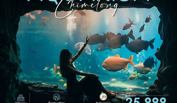 ทัวร์คุณธรรม CHIMELONG OCEAN KINGDOM กวางเจา จูไห่ 5 วัน 4 คืน (CZ)
