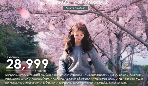 ทัวร์คุณธรรม Dalian ต้าเหลียน ตานตง เสิ่นหยาง 6 วัน 5 คืน (MU) 