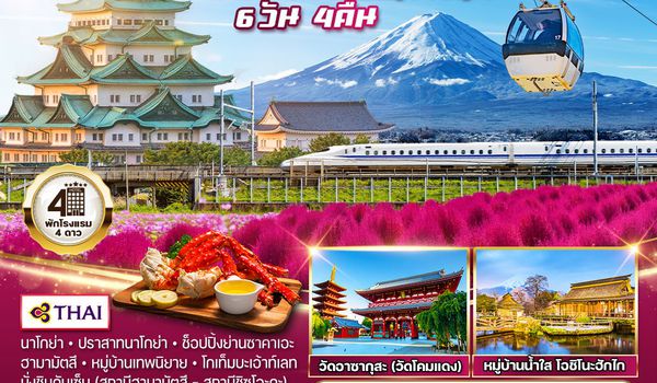 ทัวร์ญี่ปุ่น นาโกย่า - ชิซูโอกะ - โตเกียว 6 วัน 4 คืน (TG)  JULY - DEC 2568