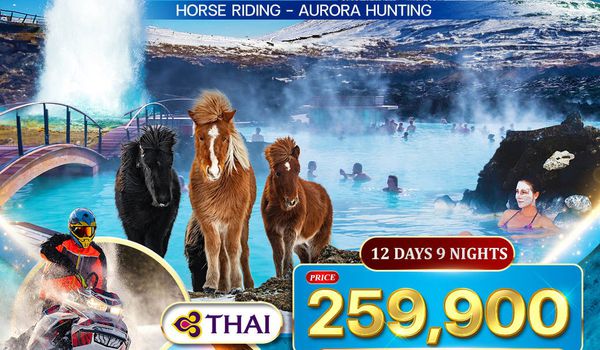 ทัวร์พรีเมี่ยมไอซ์แลนด์ 12 วัน 9 คืน ตามล่าแสงเหนือ (TG) NOV 2025 - MAR 2026