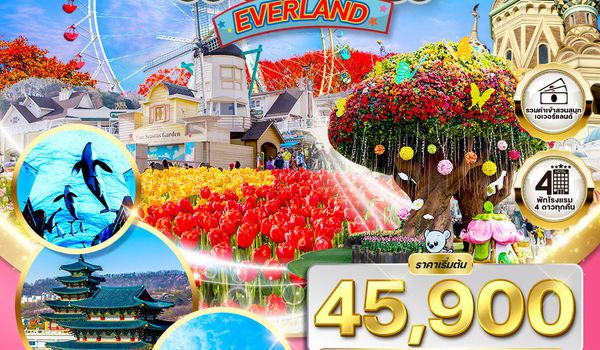 ทัวร์เกาหลี - โซล - สวนสนุก EVERLAND (Freeday) 5 วัน TG MAR-MAY 202