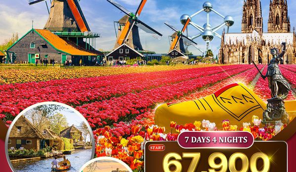 ทัวร์ยุโรปเคอเคนฮอฟ เยอรมัน เนเธอร์แลนด์ เบลเยี่ยม 7 วัน (DE) MAR - MAY 2026
