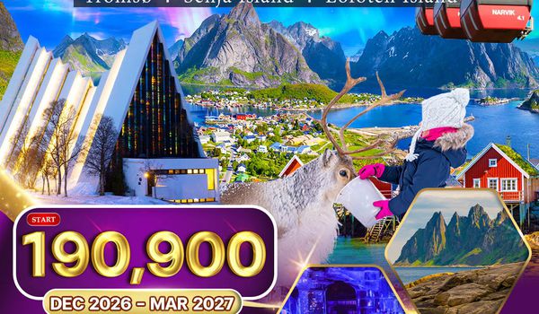 ทัวร์นอร์เวย์เหนือ ล่าแสงเหนือ - หมู่เกาะโลโฟเทน 10 วัน (TG) DEC 26 - MAR 27