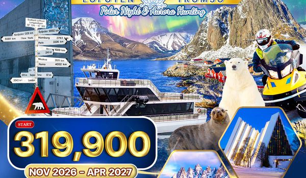 ทัวร์นอร์เวย์ - ทรอมโซ - โลโฟเทน - สวาร์บาร์ด 12 วัน (TG) ล่าแสงเหนือ Nov 26-Apr 27 