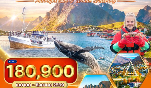 ทัวร์นอร์เวย์ ซัมเมอร์ พาราไดซ์ 10 วัน (TG) APR - AUG 26