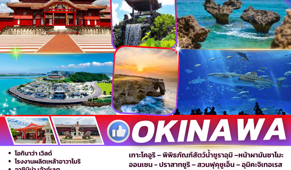 TOPOKINAWA001 : OKINAWA 6D 5N BY FD