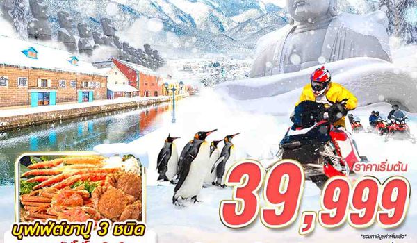 CTS39 XJ DMK HOKKAIDO WINTER IN LOVE (เที่ยวเต็ม)(JAN-MAR) 5D3N