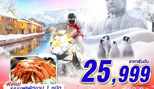 CTS40 VZ DMK HOKKAIDO WINTER ดีลเด็ด หิมะปัง (FREEDAY) DEC-MAR 5D3N