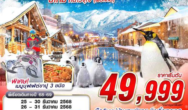 NYCTS51 XJ DMK HOKKAIDO ปีใหม่ หนาวจุใจ (ฟรีเดย์ ปีใหม่) 6D4N