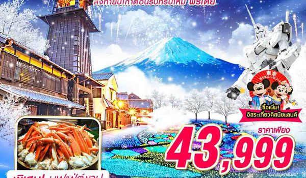 NYNRT53 DMK XJ TOKYO WINTER ส่งท้ายปีเก่าต้อนรับทริปใหม่ (บินสาย ฟรีเดย์ ปีใหม่) 6D4N