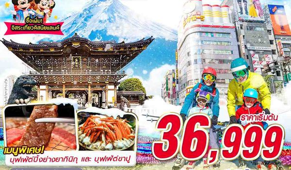 NRT37 DMK  XJ TOKYO WINTER หิมะฉ่ำ  FREEDAY (บินดึกกลับเช้า) DEC-JAN 5D3N